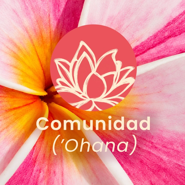 comunidad