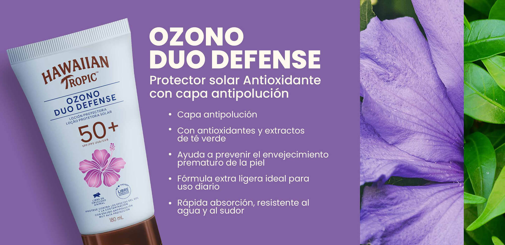 protecion con capa de aplicación